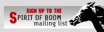 spirit of boom newletter list